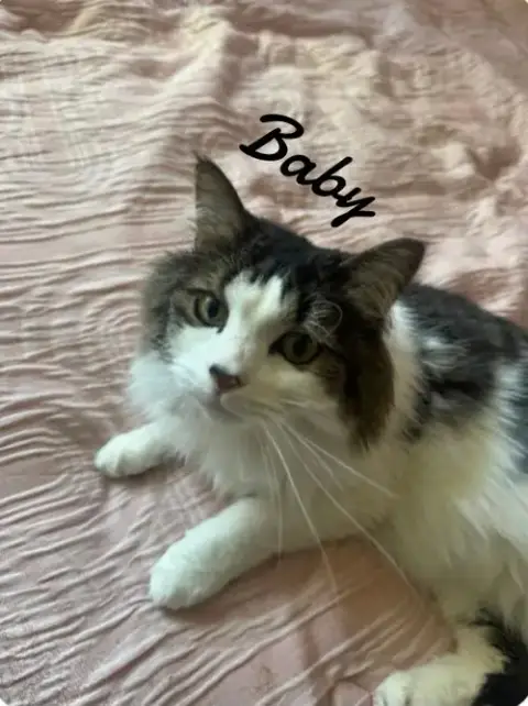 Chomp & Baby photo 3