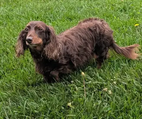 Winston Aka Winnie In Ny photo 3