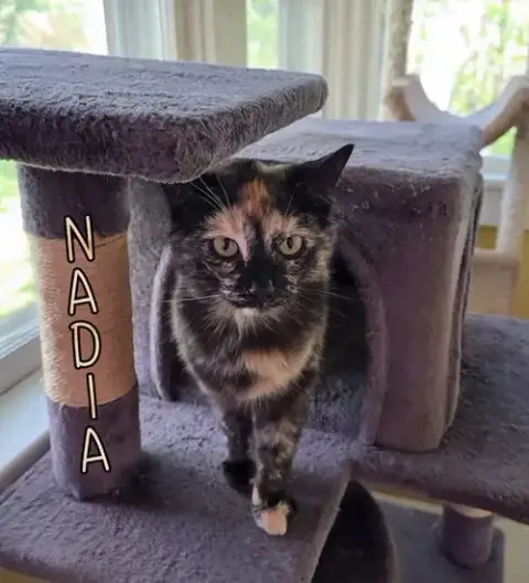 Nadia