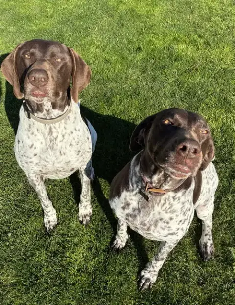 Thor & Ellie photo 2