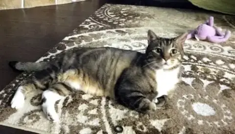 Minu