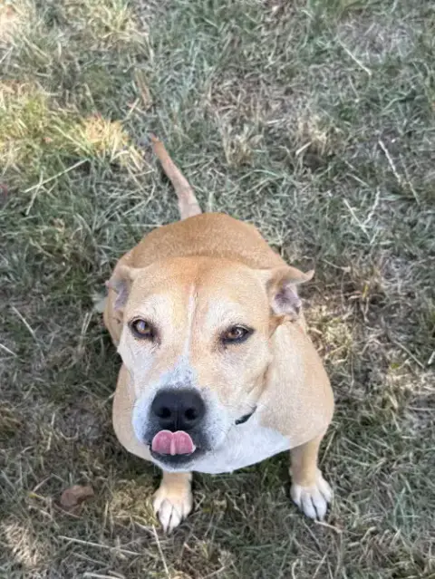 Momma photo 3