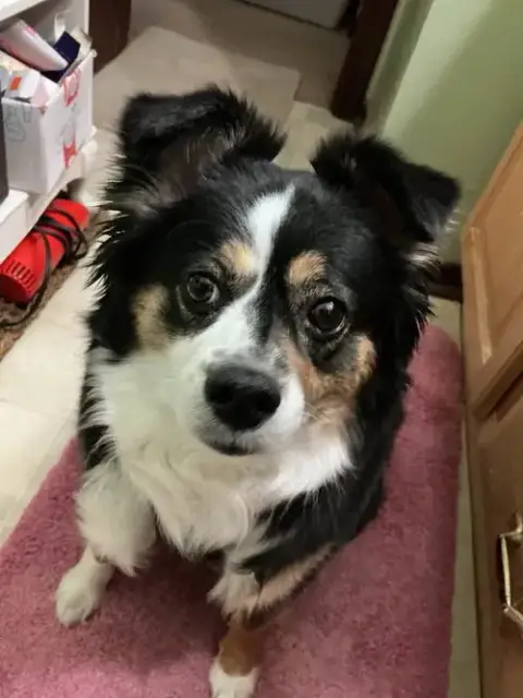 Mia