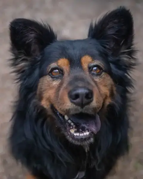 Karma photo 3