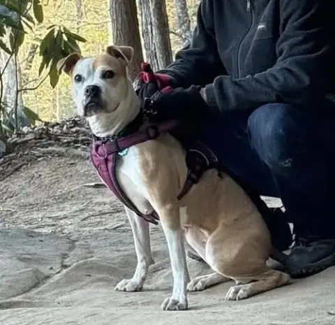 Tazzie photo 3