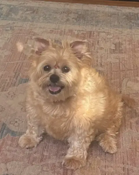 Mya