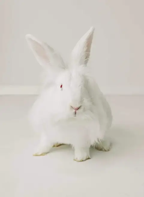 Jenny photo 3