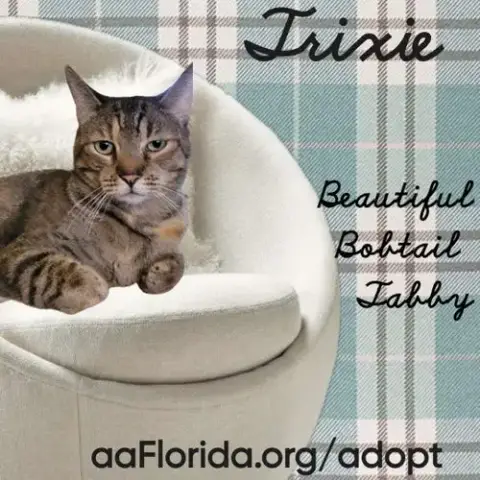 Trixie photo 3