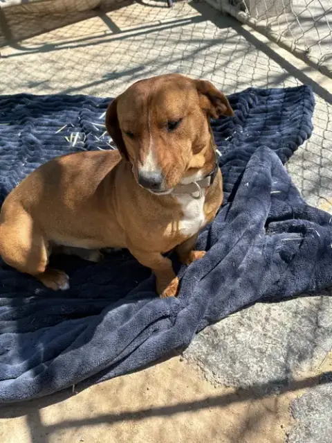 Buddy photo 4