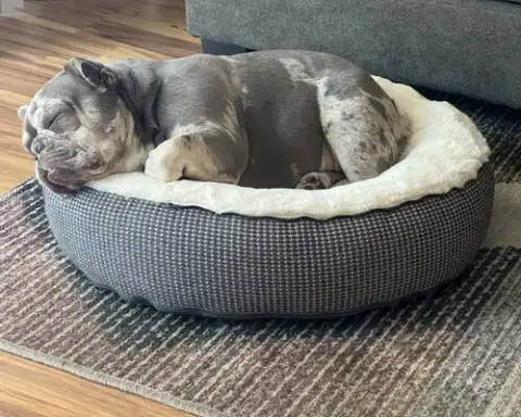 Mabel photo 5
