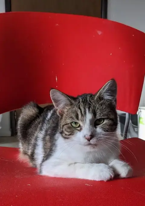 Fiona