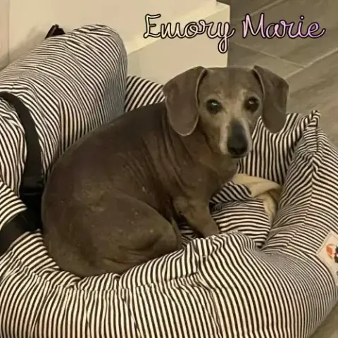 Emory Marie+ photo 3