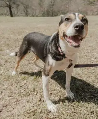 Daisey photo 3