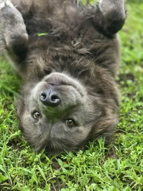 Bella photo 3