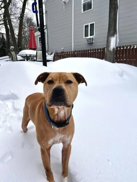 Duke