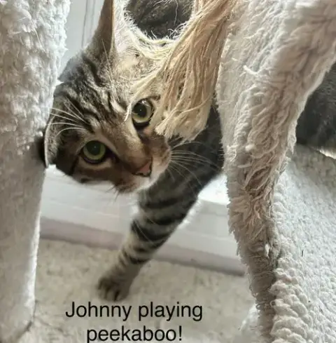 Johnny photo 3