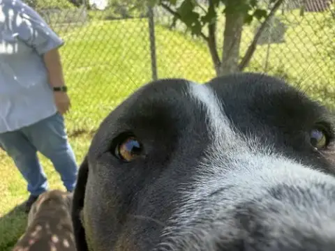 Hutch Mo photo 3