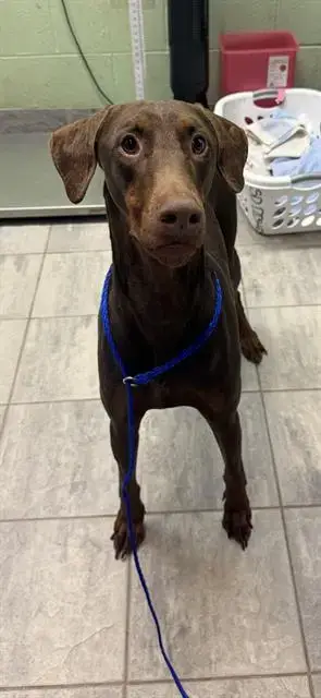 Arthur