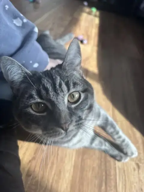 Peaches photo 3