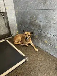 Frida