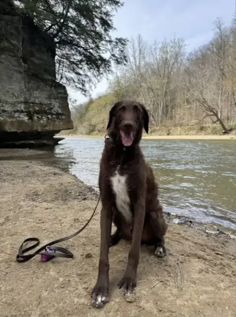Murphy photo 3