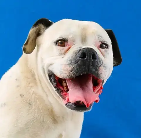 Max