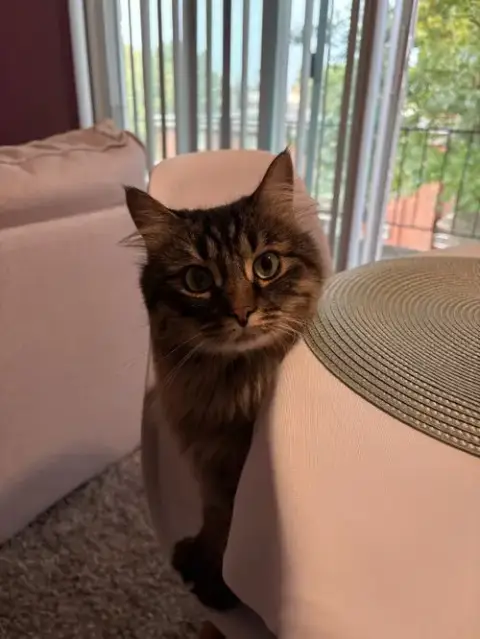 Zz "Mars" Courtesy Listing photo 4