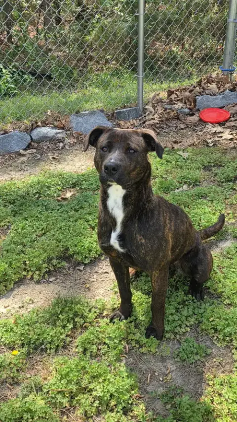 Brandy In Warsaw Va