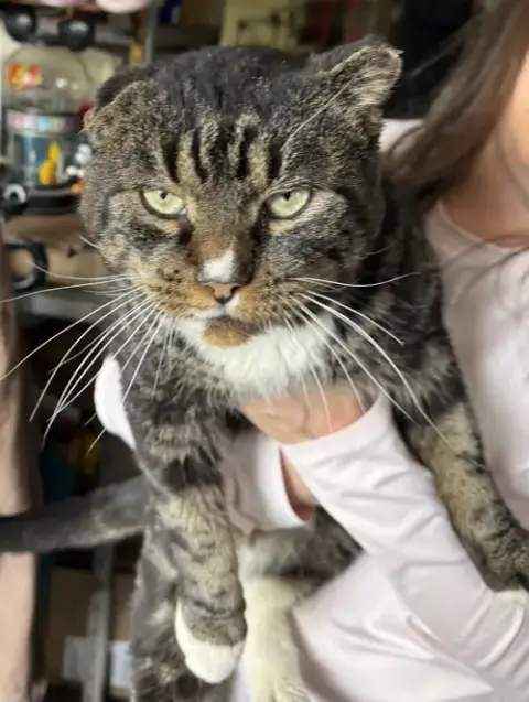 Frank Sinatra