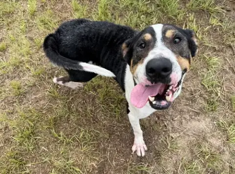 Max
