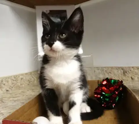 Sandra