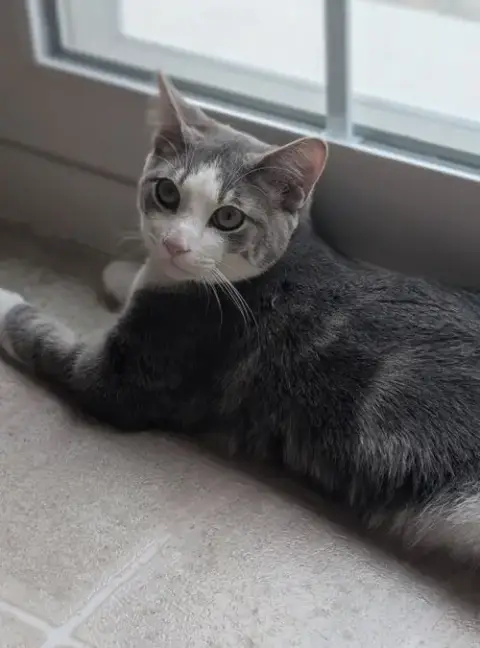 Lucky