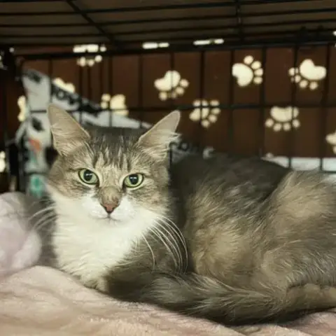 Clara