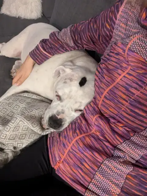 Molly photo 4