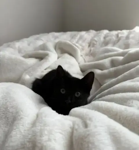 Miles