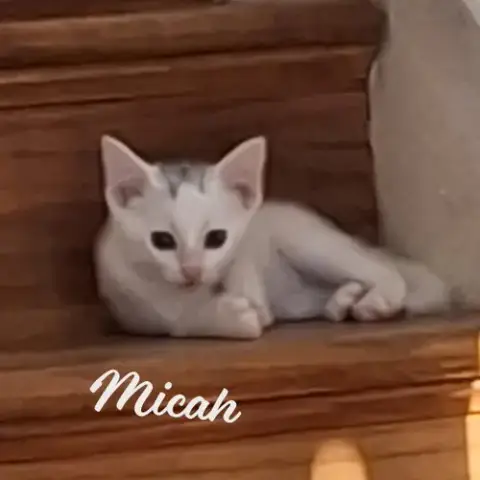 Micah #Melts-Into-You
