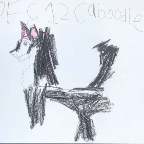 Caboodle photo 4