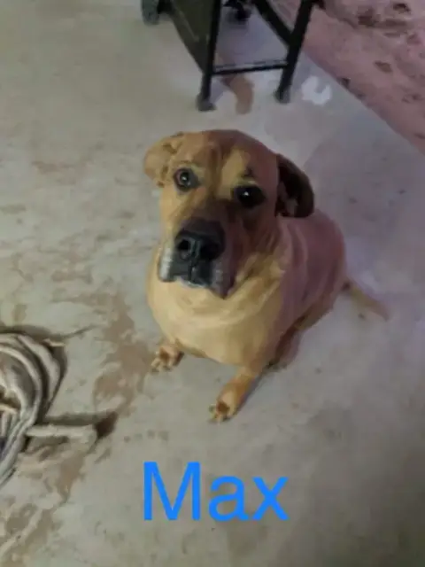 Max photo 2