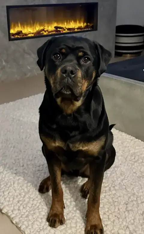Amos