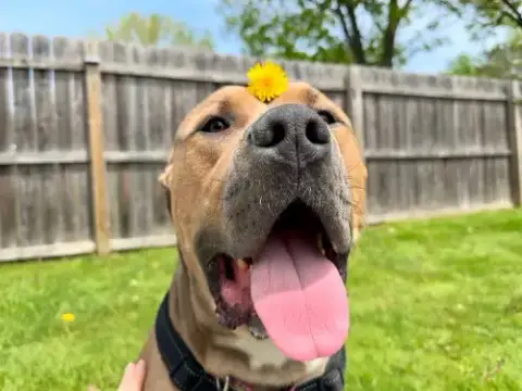 Zeus photo 4