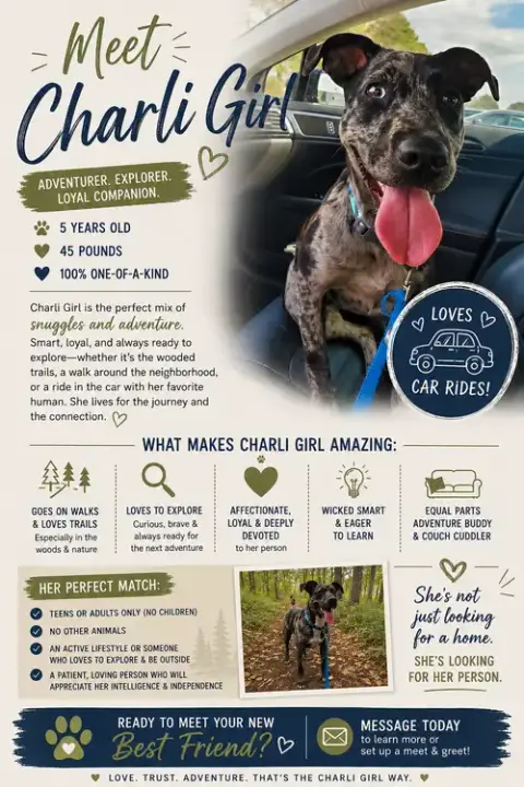 Charli Girl! Fh