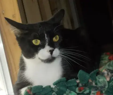 Carla