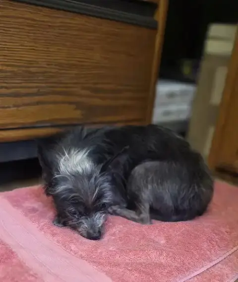 Lil Duke photo 2