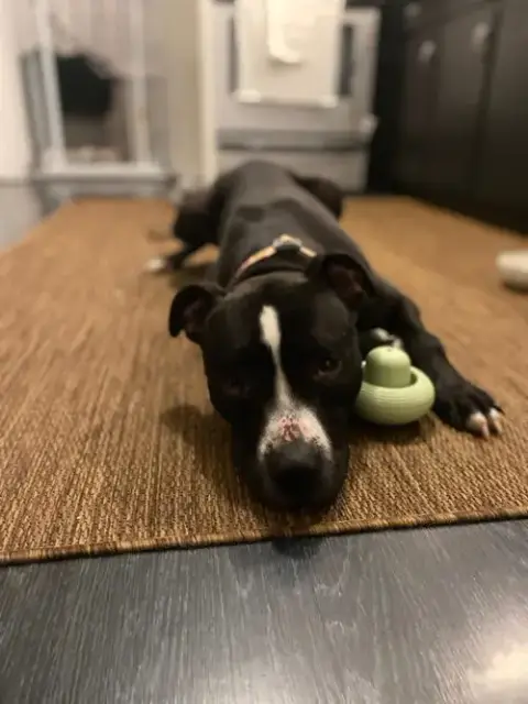 Vader photo 3