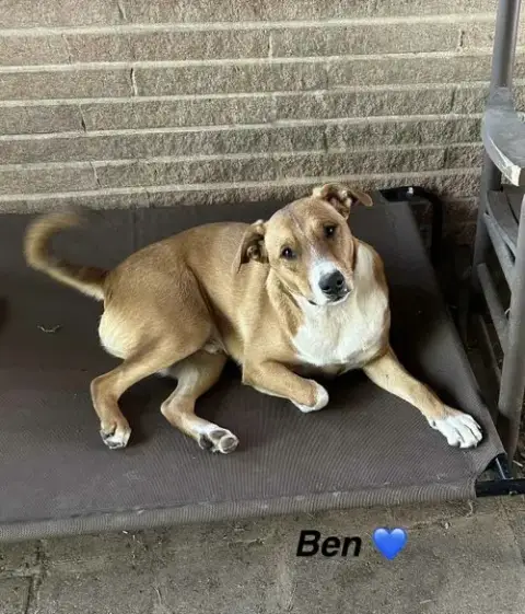 Ben photo 2