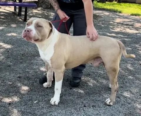 Jax photo 2