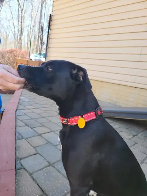 Mocha