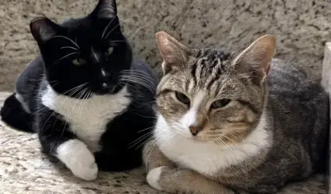 Angel & Pepper