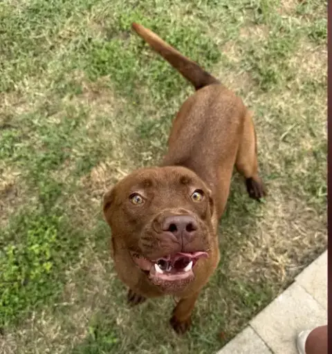 Ruby photo 5