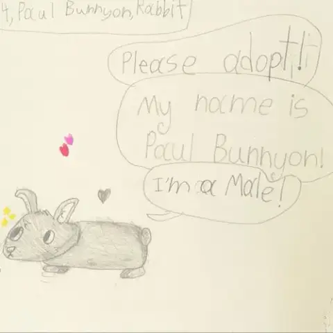 Paul Bunnyon photo 4